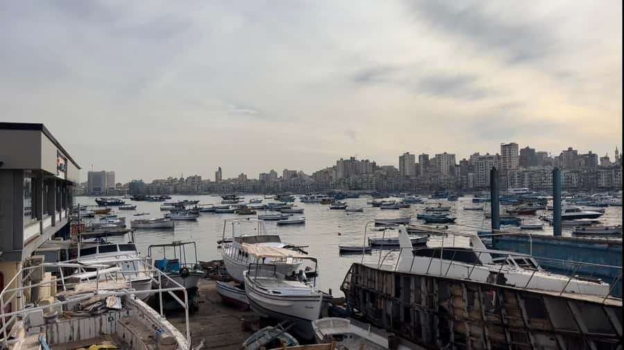 Alexandria Historian-Guided Tour with Local Food Tasting - Key points I’d plan around