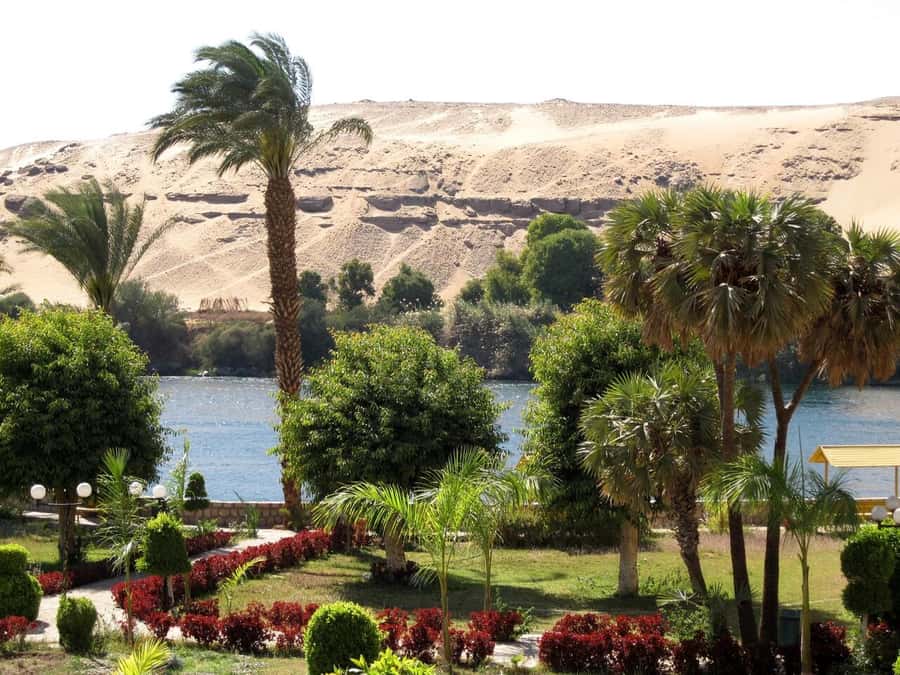 Aswan: Private All-inclusive Guided Tour of Aswan Highlights - Aswan High Dam: modern engineering with serious scale