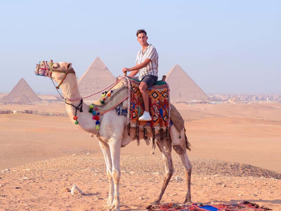 Cairo: Camel Ride Around The Pyramids with Hotel Pickup - Animal Welfare and Comfort: What You Should Watch Closely
