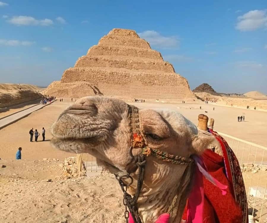 Cairo: Djoser, Bent Pyramid & Memphis Day Trip - Memphis and the Statue of Ramses II: ancient power, plain and real