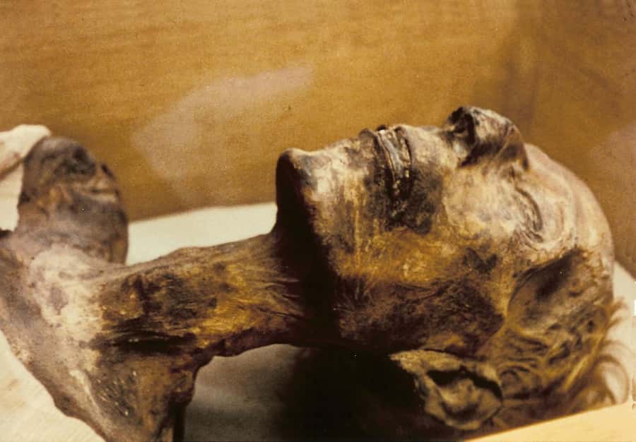Cairo: Egyptian Museum 4-Hour Private Tour with Transfer - Should You Book This Egyptian Museum Private Tour?