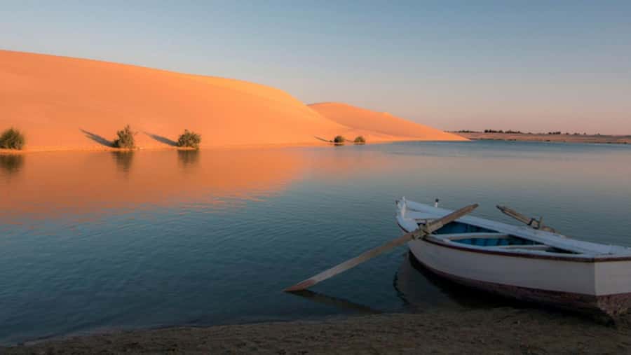 Cairo: Fayoum, Wadi El Rayan, and Wadi al Hitan 4x4 Tour - Wadi al Hitan (Valley of the Whales): Fossils That Turn Into a Story