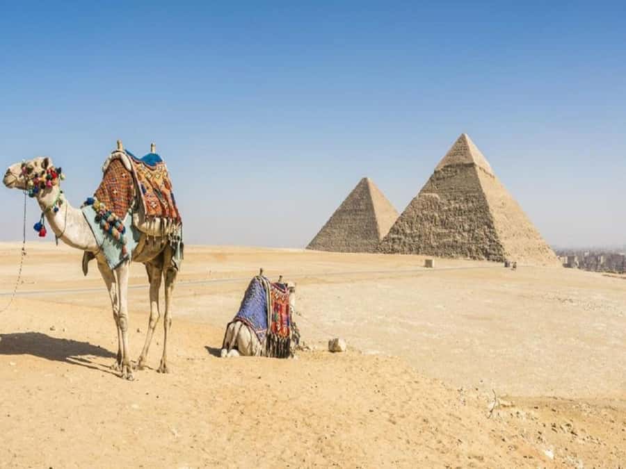 Cairo: Giza Pyramids, Sakkara & Dahshur All-Inclusive Tour - Private guides: the real value isn’t the facts, it’s the flow