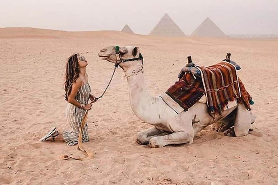 Cairo: Grand Egyptian Museum, Giza Pyramids and Sphinx Tour - Price and value: is $80 per person a smart trade for a 7-hour day?