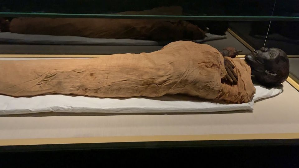 Cairo: National Museum of Egypt Skip-the-Line QR Ticket - Royal Mummies Hall: plan your time around this moment