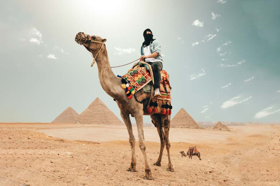 Cairo: Pyramids, Bazaar, Citadel Tour with Photographer - Key tour moments worth circling