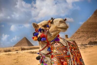 Cairo: Pyramids & Great Sphinx Private Tour with Camel Ride - Reaching the Giza Plateau: Old Kingdom Context You Can Feel