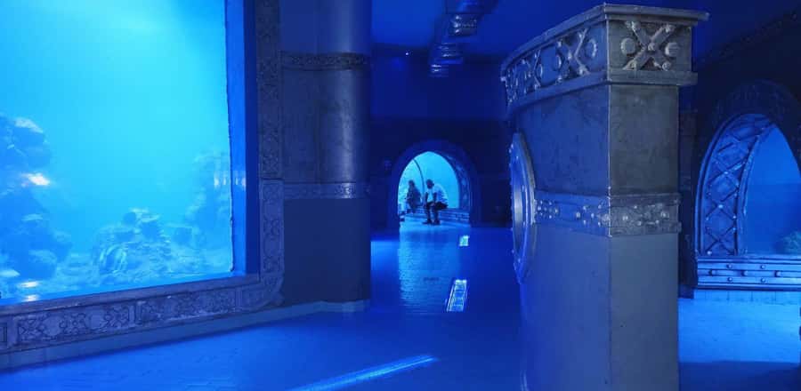 Entry Ticket: Grand Aquarium Hurgada - Where Hurghada Grand Aquarium fits in your Hurghada day