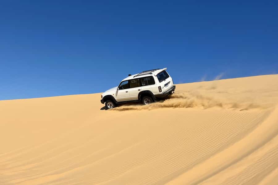 From Cairo: Desert Safari, Camel Ride, Magic Lake, & Lunch - Magic Lake Color Changes: The Moment That Feels Almost Unreal
