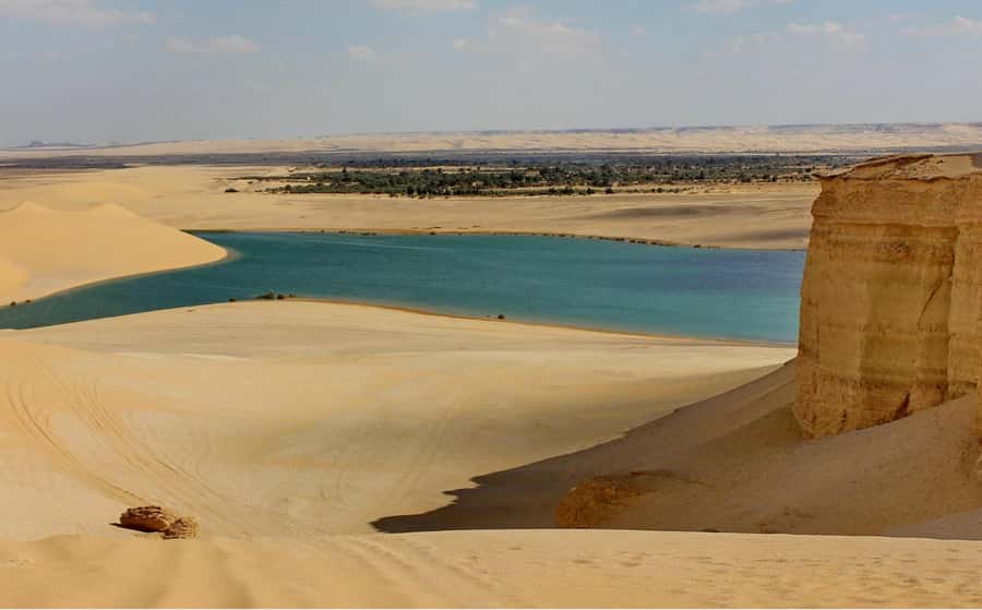 From Cairo: Full-Day Tour to El Fayoum - Why El Fayoum Beats Another Cairo Day Tour