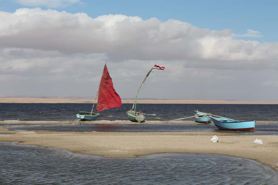 From Cairo: Full-Day Tour to El Fayoum - Magic Lake and Dune Time: Where the Fayoum Feels Surreal