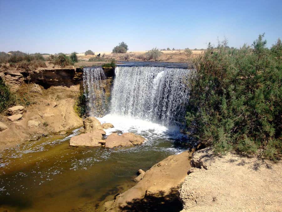 From Cairo: Full-Day Tour to El Fayoum - Getting There: The 7:00 AM Pickup and Real Drive Time