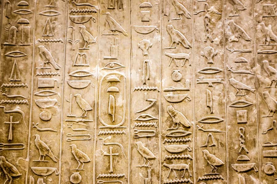 From Cairo/Giza: Pyramids, Memphis, and Sakkara Day Tour - Price and Value: What You Get for About $41