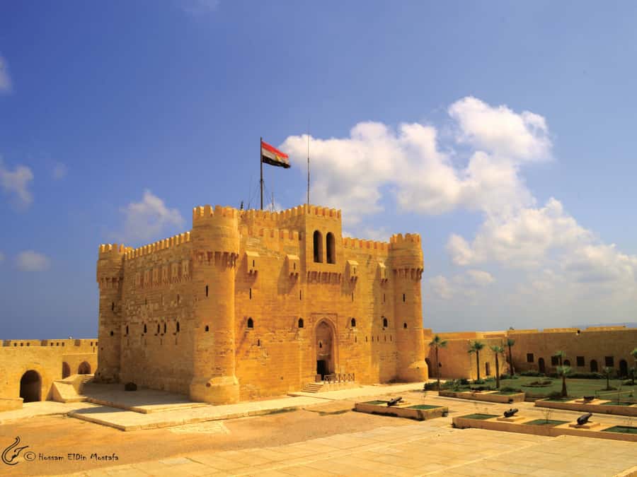 From Cairo: Private Full-Day Tour of Historical Alexandria - Library of Alexandria: how to handle the Friday closure