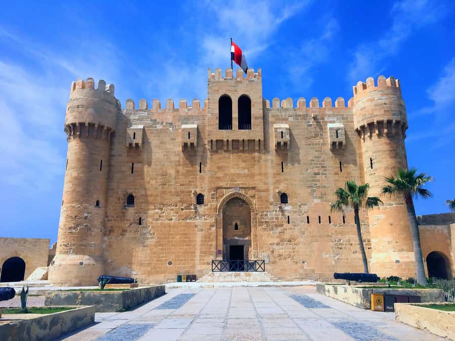 From Cairo: Private Full-Day Tour of Historical Alexandria - Lunch in Alexandria: included, but know what to expect