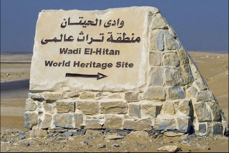 From Cairo: Whale Valley and Wadi El Rayan Waterfalls Tour - Cairo to El Fayoum: the drive that sets the tone