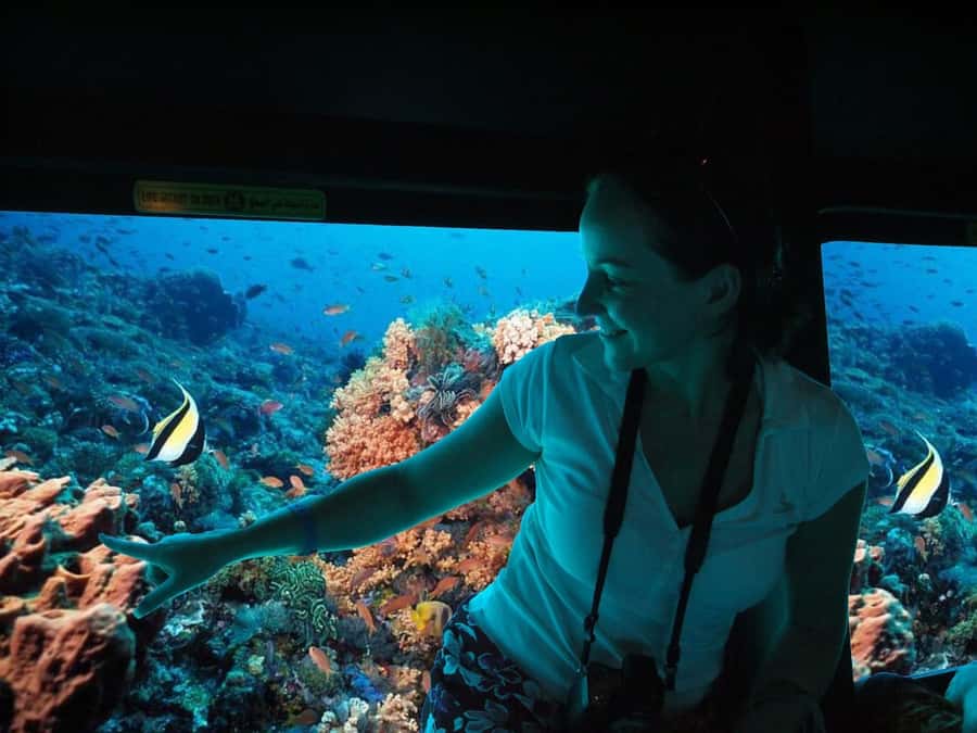 From El Gouna: Royal Seascope Submarine with Snorkel Stop - Dolphins and marine life: what’s likely, what’s not promised