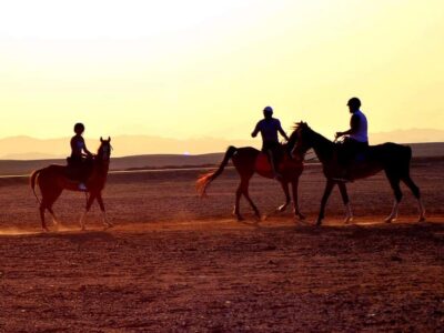 From Hurghada: Makadi Bay Horse Riding Tour - Before you ride: helmets, a short reset, and choosing the right horse