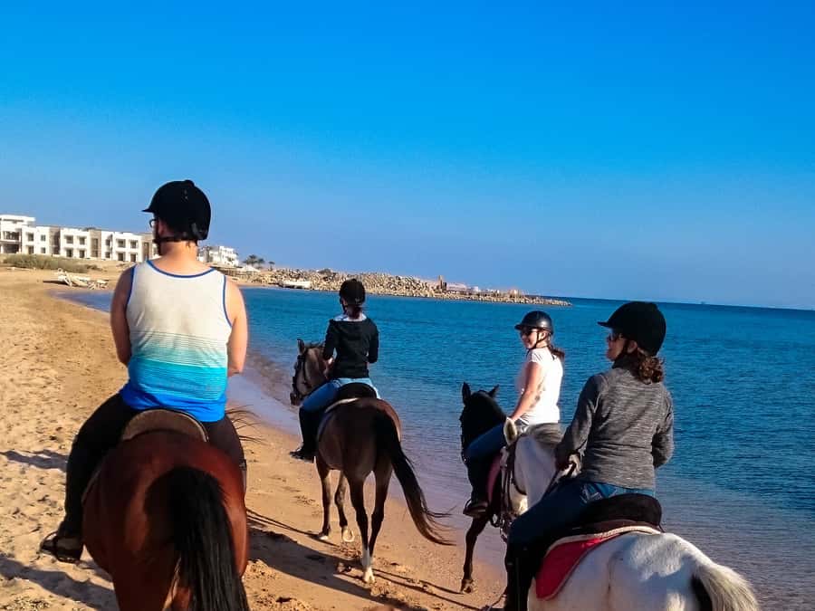 From Hurghada: Makadi Bay Horse Riding Tour - Sunset ride with dinner, show, and desert stargazing