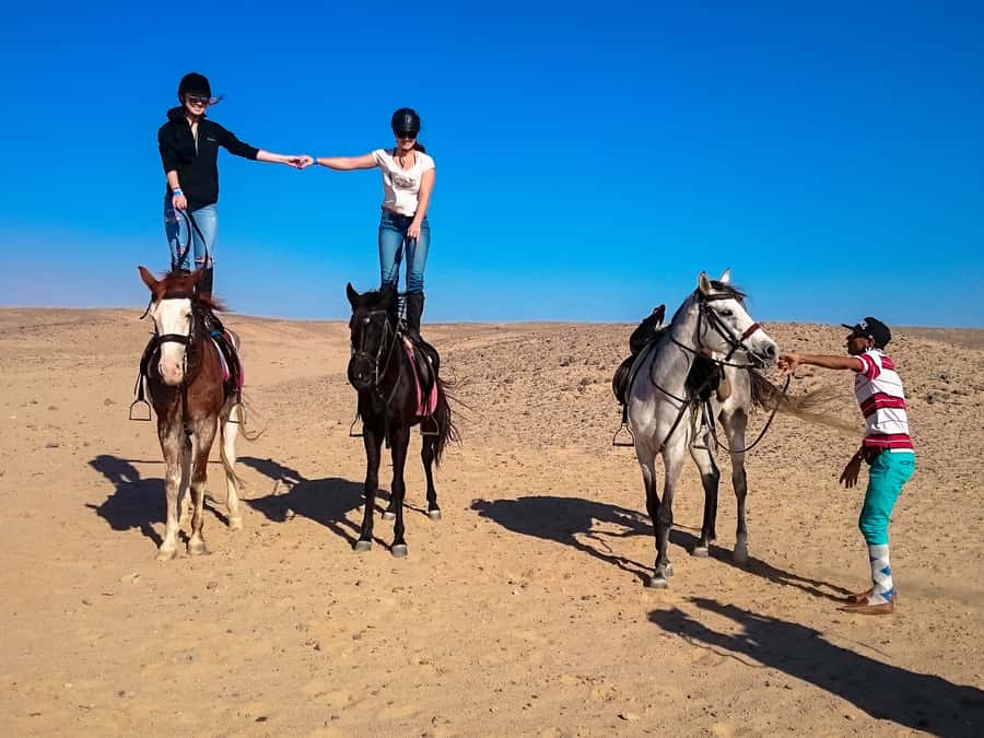 From Hurghada: Makadi Bay Horse Riding Tour - Quad + horse: a morning plan for people who can handle two modes