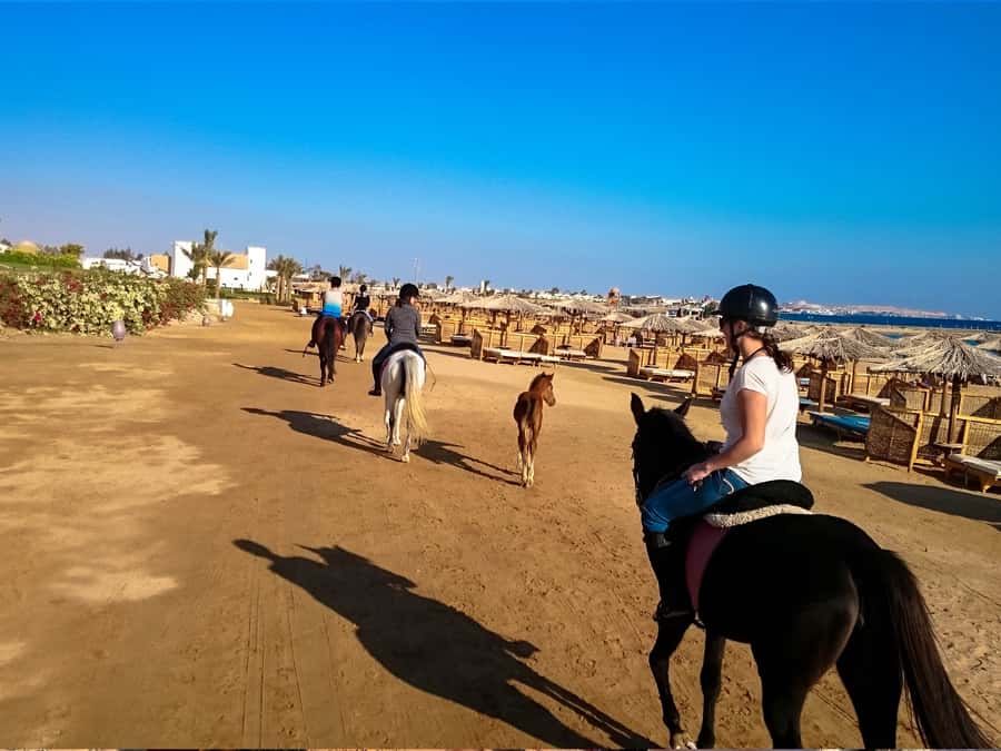 From Hurghada: Makadi Bay Horse Riding Tour - Transfers and pickup: how to get there without losing time