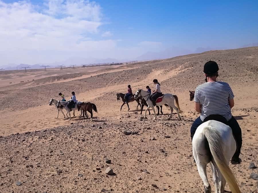 From Hurghada: Makadi Bay Horse Riding Tour - Horses and guide style: what you’re paying for beyond the ride