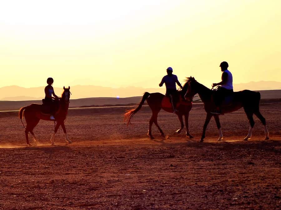From Hurghada: Makadi Bay Horse Riding Tour - Before you ride: helmets, a short reset, and choosing the right horse