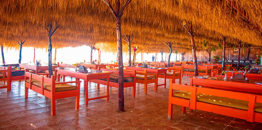 From Hurghada: Paradise Island Snorkeling Cruise with Lunch - Who Should Book This Paradise Island Cruise (and Who Should Skip It)