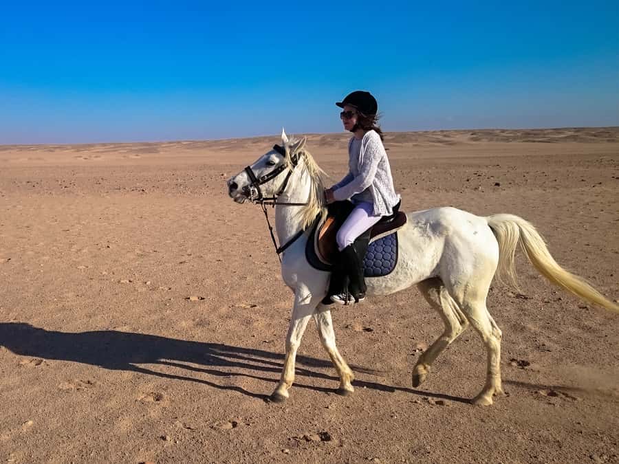 From Hurghada: Red Sea Sunrise and Desert Horseback Riding - Sunrise vs Sunset: Breakfast, Dinner, Show, and Stargazing