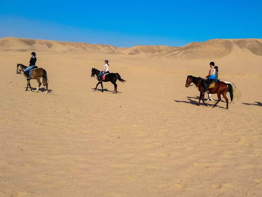From Hurghada: Red Sea Sunrise and Desert Horseback Riding - Price and Value: What $29 Gets You (and Where Your Money Goes)