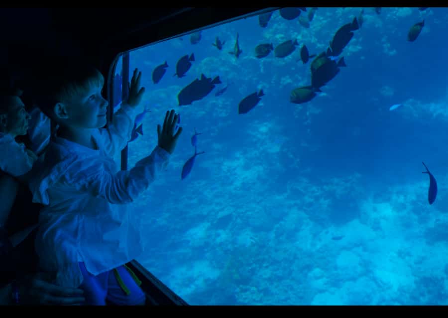 From Safaga: Royal Seascope Submarine with Snorkeling - Key things to know before you go