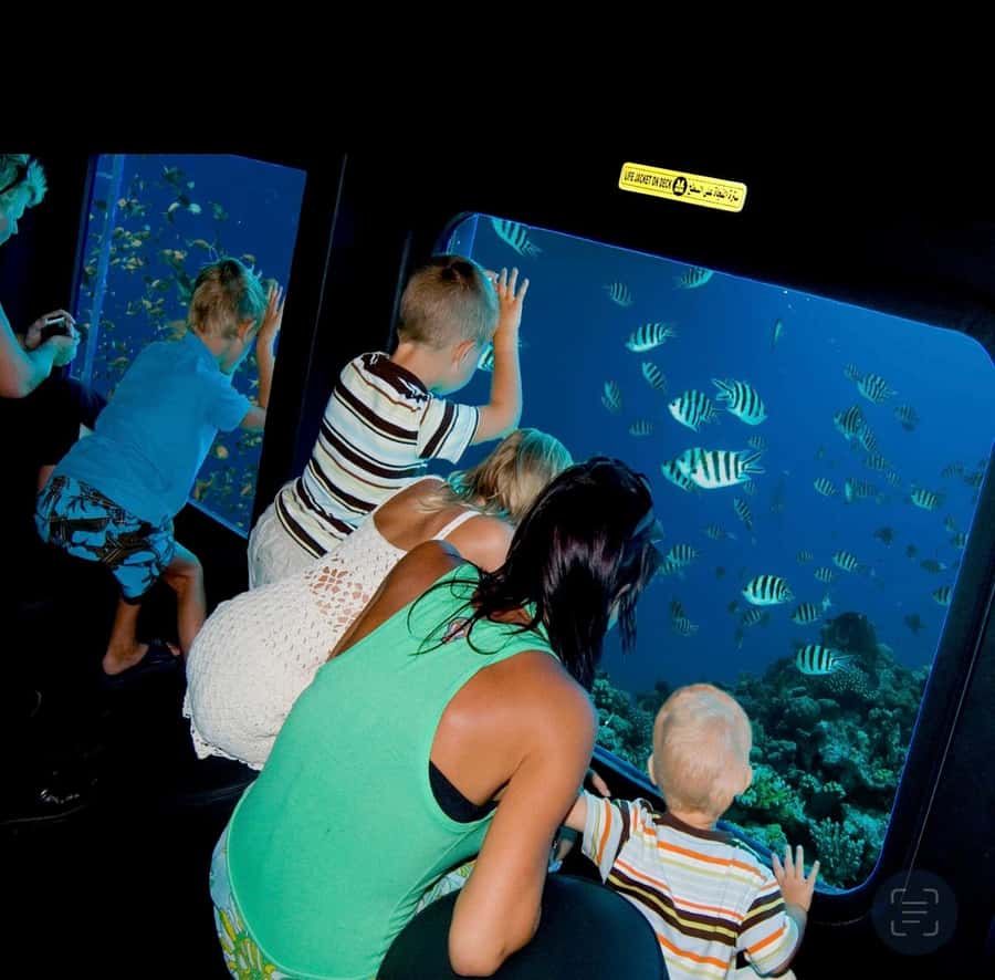 From Safaga: Royal Seascope Submarine with Snorkeling - Royal Seascope from Safaga: what the semi-sub really feels like