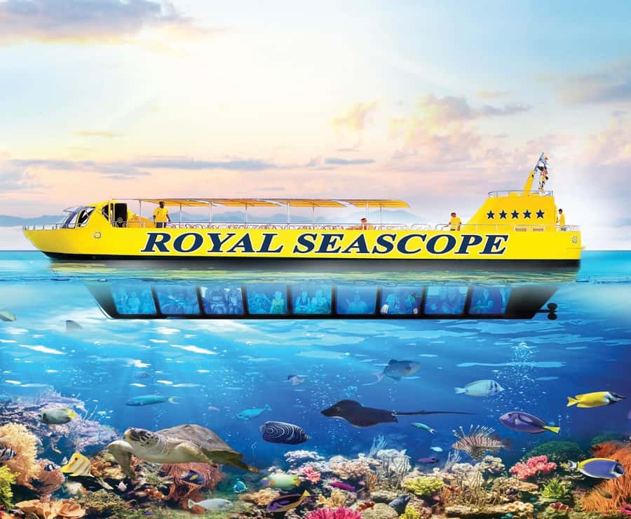 From Safaga: Royal Seascope Submarine with Snorkeling - Snorkeling in Makadi Bay: short, sweet, and worth planning for