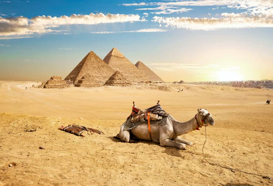 From Sharm El Sheikh: Cairo Private Day Trip by Plane - Lunch in Cairo: The Break That Makes the Whole Day Work