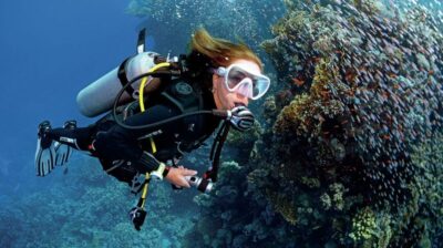 From Sharm: Ras Muhammed & White Island By Boat & intro Dive - Pickup, harbor timing, and the passport check that catches people