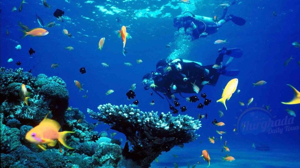 From Sharm: Ras Muhammed & White Island By Boat & intro Dive - Intro scuba session (for beginners): short, supervised, and low-stress