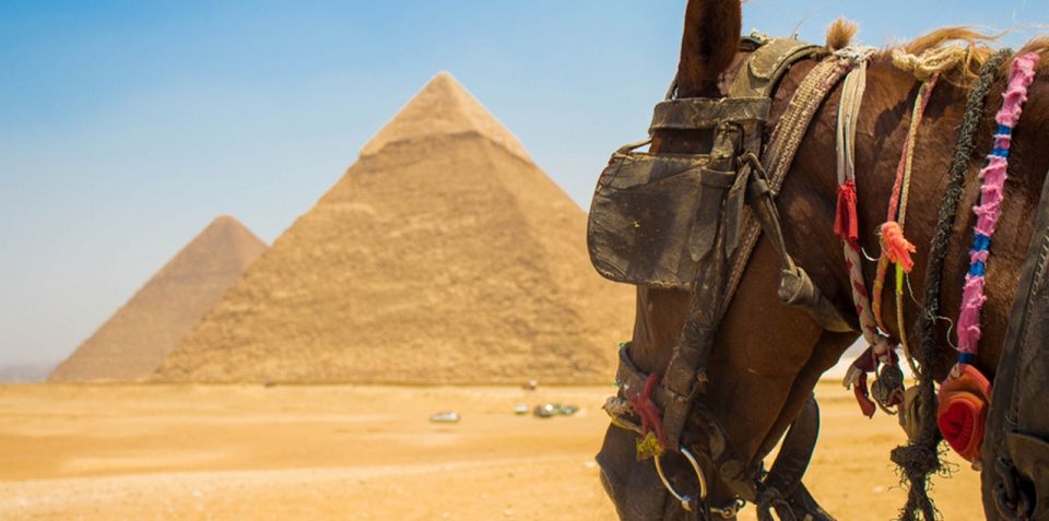Giza: Arabian Horse Tour Around the Giza Pyramids - Horse Care and Safety: The One Thing I’d Verify First