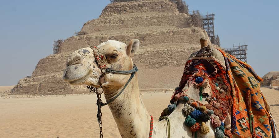 Giza: Sakkara, Memphis & Dahshur (Pyramid & Felucca Options) - Guides, Pacing, and Those Little Details That Make the Day Work
