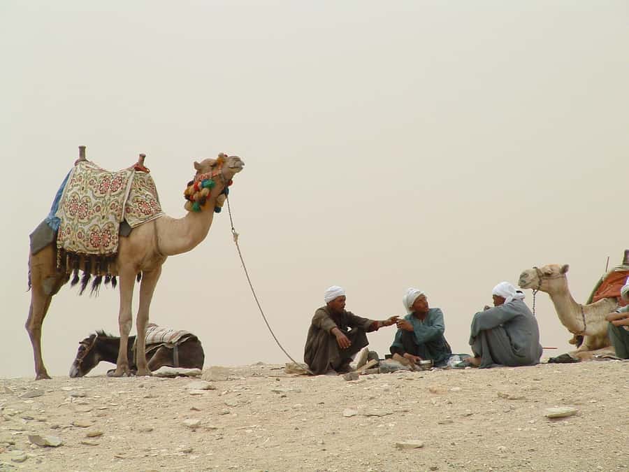 Half-Day Cairo Sightseeing Tour to Pyramids of Giza & Sphinx - Quick Take: Pyramids + Sphinx in a Tight, Guided Window