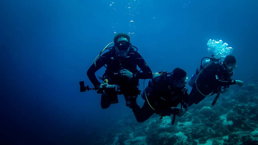 Hurghada: 1, 2, 3, 4, or, 5-Day Scuba Diving Package - Hurghada pickup to The Pure Coastal: the smooth start you’ll feel