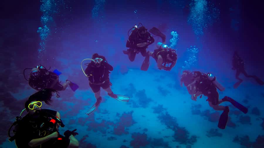 Hurghada: 1, 2, 3, 4, or, 5-Day Scuba Diving Package - Gear and what’s included vs what you’ll rent