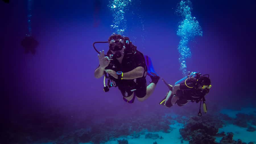 Hurghada: 1, 2, 3, 4, or, 5-Day Scuba Diving Package - Who this is perfect for—and who should sit this one out