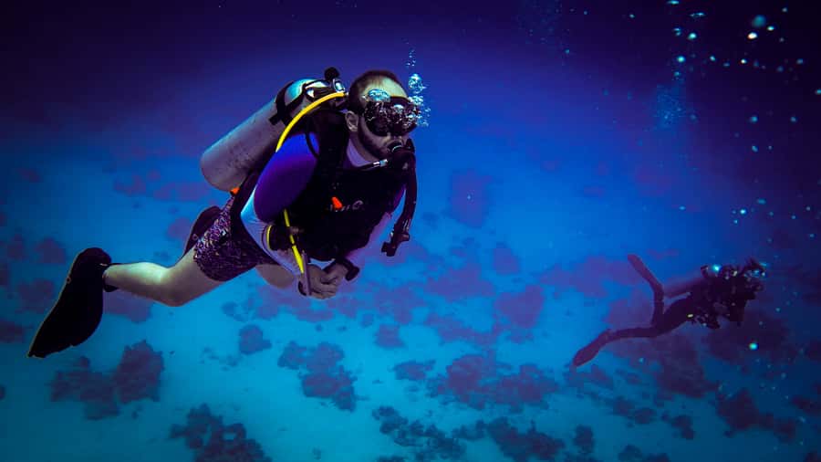 Hurghada: 1, 2, 3, 4, or, 5-Day Scuba Diving Package - The PADI system: what “5-star center” should mean in practice