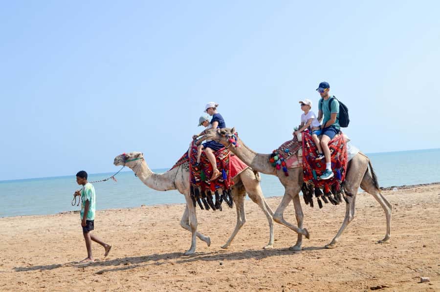 Hurghada: 1-Hour Desert & Beach Camel Ride with Transfers - Camelback in Hurghada: dunes and Red Sea sand time together