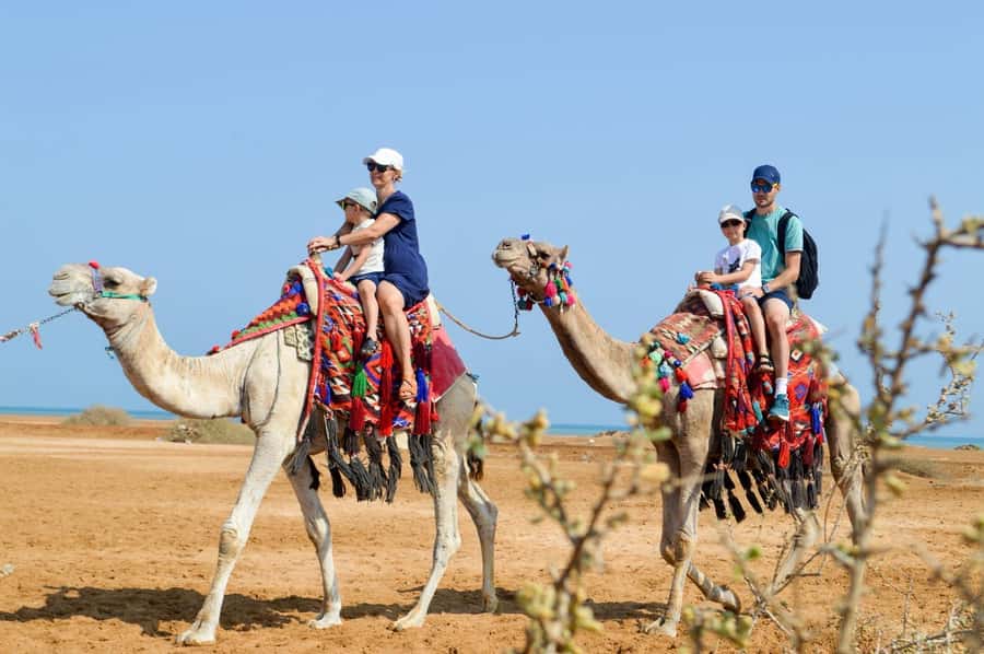 Hurghada: 1-Hour Desert & Beach Camel Ride with Transfers - The ride setup: what makes first-timers comfortable