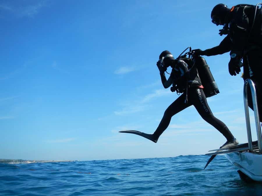 Hurghada: 3-Day PADI Open Water Diving Course - The Red Sea training experience: reefs, sea life, and responsible practice