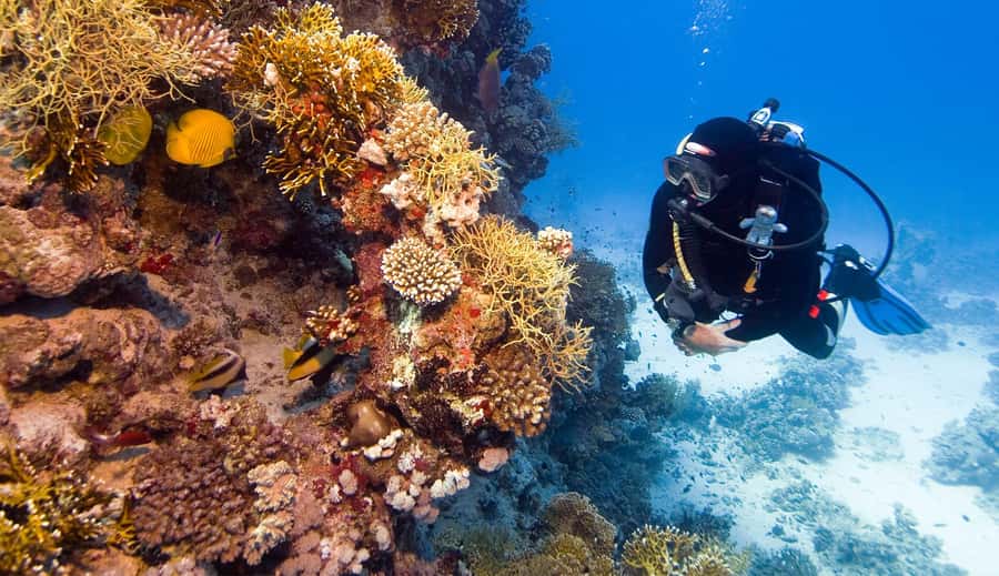 Hurghada: 3-Day PADI Open Water Diving Course - What to bring (so you don’t lose training time)