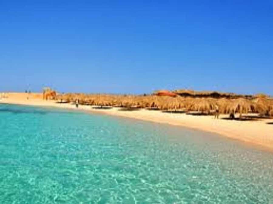Hurghada: 3-Island Speedboat, Dolphin Watching & Snorkeling - Balena Wreck snorkeling: where fish density surprises you