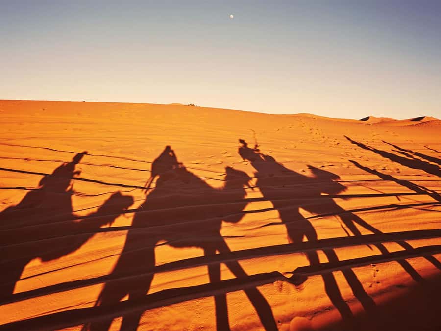 Hurghada: 6-Hour Jeep Desert Safari, Dinner, and Show - Key Points Before You Go