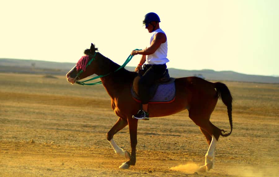 Hurghada: Arabian Desert and Sea Horseback Adventure - Who This Horse Adventure Fits Best (And Who Should Skip It)